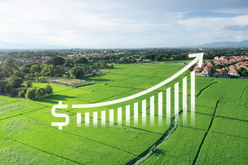 Investment Opportunities